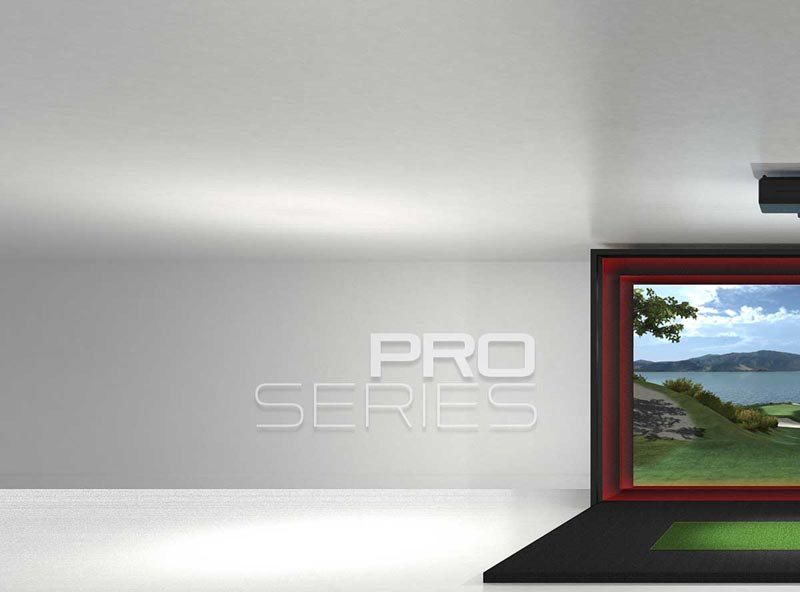 Golf simulator professional